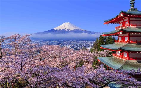 Japan Cherry Blossom Festival 2018: Where and When to Visit