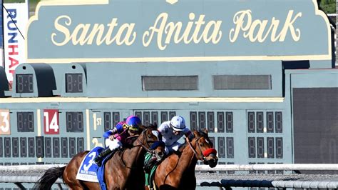 Another racehorse - the fourth this year - dies at Santa Anita racing track - CNN