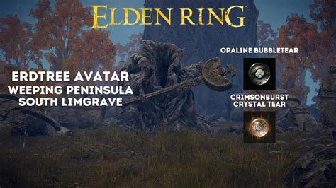 Elden Ring - Erdtree Avatar Weeping Peninsula Location - YouTube