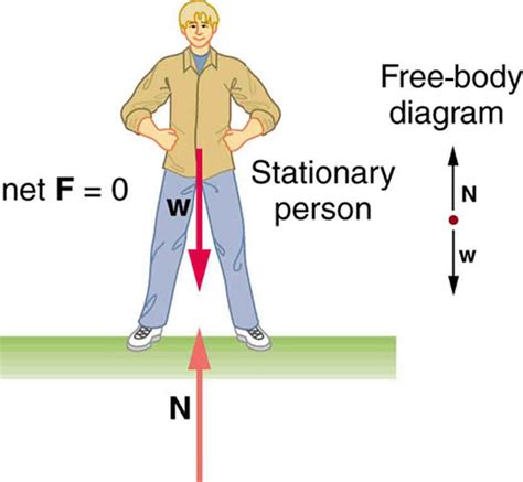 Application - Newton's Laws of Motion