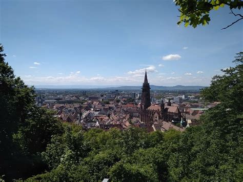 Free download | HD wallpaper: freiburg, black forest, münster, view ...