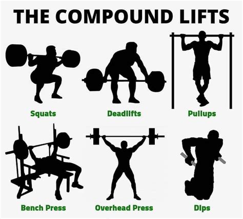 Compound Lifts: Build Strength and Bulk up Fast – MR ALPHA