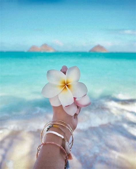 Pin by redactedihnnjbn on COLLECTION | Beach wallpaper, Summer wallpaper, Aesthetic wallpapers