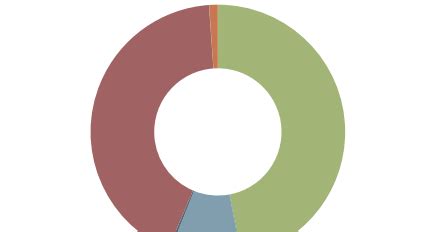 Mobile Biometric Authentication will Transform Payments