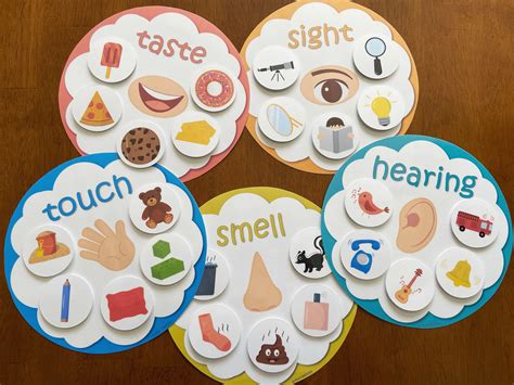 Five Senses Sorting Activity Printable Senses Sorting | ubicaciondepersonas.cdmx.gob.mx