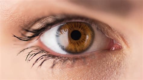 Human Eye Pictures, Images and Stock Photos - iStock