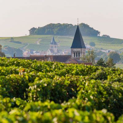 Awesome Private Champagne Tour and Unique Veuve Clicquot Tasting