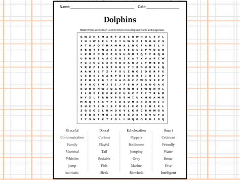 Dolphins Word Search Puzzle Worksheet Activity | Teaching Resources