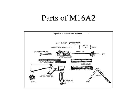 M16a2 Parts Diagram