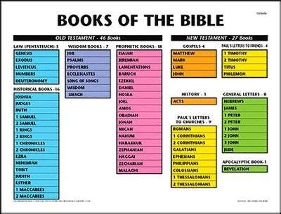 Catholic: Books of Bible - Laminated Poster | Catholic bible, Books of the bible, Bible