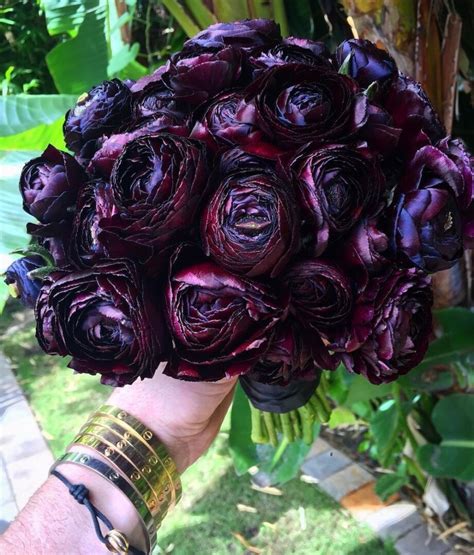 For World Goth Day, Celebrate Black Flowers and Ideas