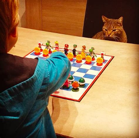 Cats Playing Chess - CatCon Worldwide