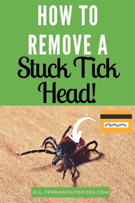 Remove A Tick Head - The Fishing