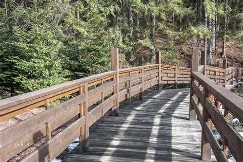 Wooden Bridge Over the Pond. Stock Image - Image of track, steps: 241690567