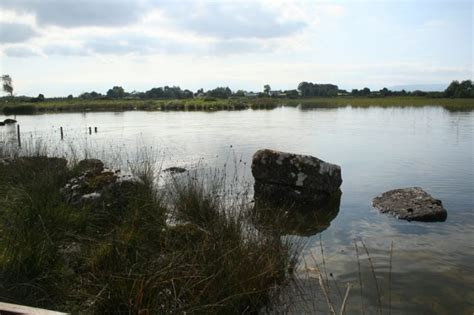 Crayfish Habitat by Saliha yesim Tunali – lough carra catchment association