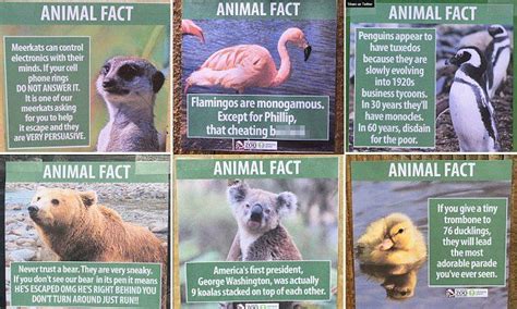 Hilarious Fake Animal Facts at LA Zoo