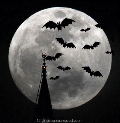 animated free gif: bats in the moonlight night terror in the sky flash ecards banner animated 3d ...