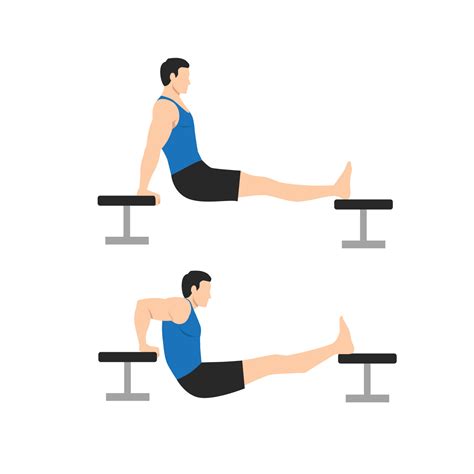 Man doing Chair. bench tricep dips exercise. Flat vector illustration ...