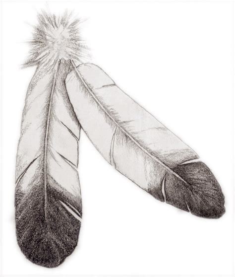 Pencil Drawings Of Feathers Draw different colored lines in the feather to make it look textured ...