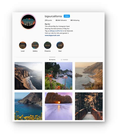 5 Instagram Profile Template Ideas to Match Your Unique Brand