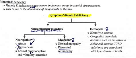 thalassemia diet pdf