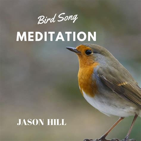 Bird Song Meditation | Audiobook on Spotify