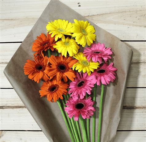 African Daisy Bouquet | [+] African Daissy Blog