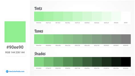 What is the color of Light Green | Hexcolorpedia