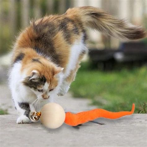 2-in-1 Caterpillar-Shaped Ball Cat Bell Toy - Inspire Uplift