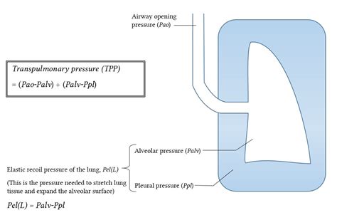 Transpulmonary Pressure Gradient