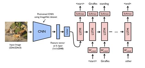 Cnn Model Architecture Diagram