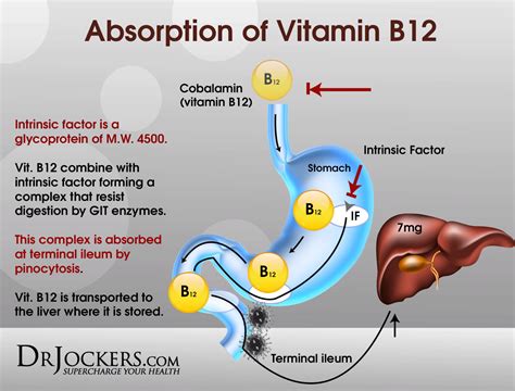 Vitamin B12 Deficiency Diagnosis Code at Samuel Combs blog