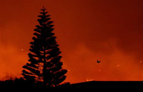 Photos: Massive Cape Town Fire Forces Residents To Evacuate Homes