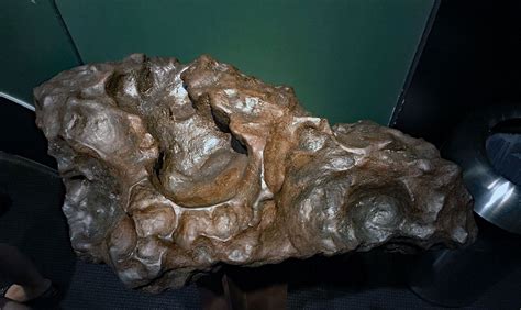 MPOD 190925 from Tucson Meteorites Meteorite, Tucson, Lion Sculpture ...