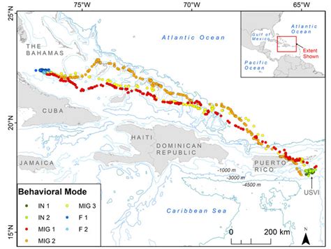 Sea Turtle Migration - All Turtles