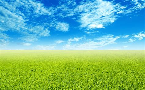 Green Field Wallpapers - Top Free Green Field Backgrounds - WallpaperAccess