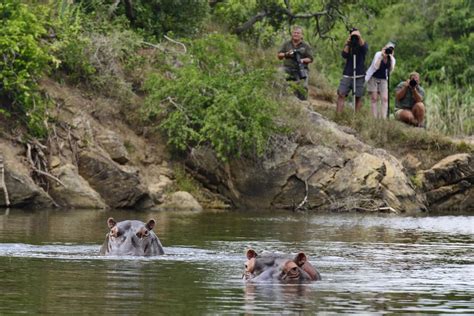 Kariega River Cruises - Adventures Africa - African Safari and ...