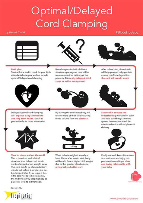 Optimal or Delayed Cord Clamping, what is it and should you be choosing it for your baby ...