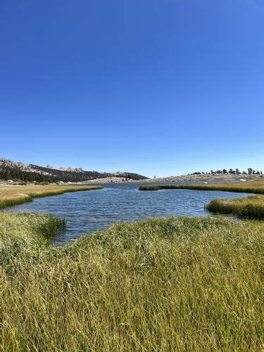 Best 10 Hikes and Trails in Inyo National Forest | AllTrails