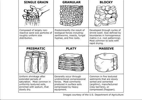 2: Soil structure and typical processes of formation | Download Scientific Diagram