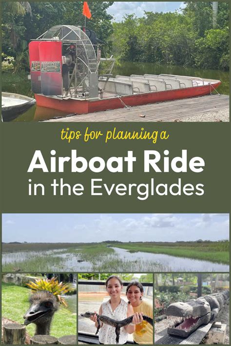 Airboat Ride at Everglades Alligator Farm | LaptrinhX / News