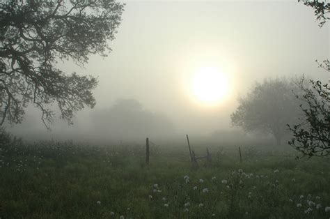 Pinterest | Foggy morning, Foggy, Sunset