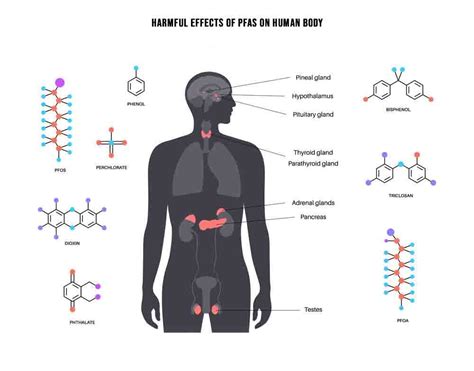 The Dangers of PFOA and PFOS