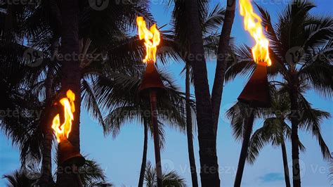 Tiki Torches Burning on Waikiki Beach at Night 888763 Stock Photo at Vecteezy