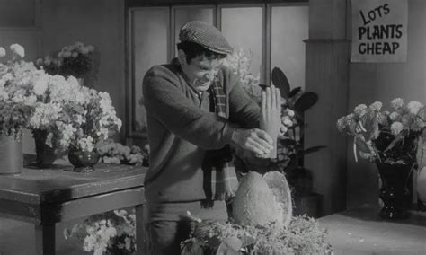 Dell on Movies: 31 Days of Horror: The Little Shop of Horrors (1960)