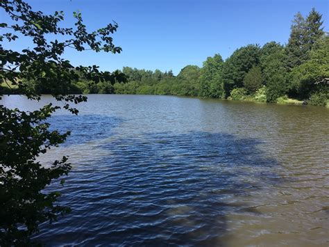 Mill Pond, Horsted Keynes Area - Isfield & District Angling Club