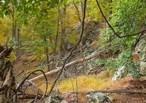 Catoctin Mountain Park - Frederick County, Maryland - Around Guides