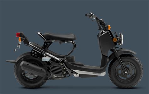 Scooters - Mopeds: 2012 Honda Ruckus scooter picture