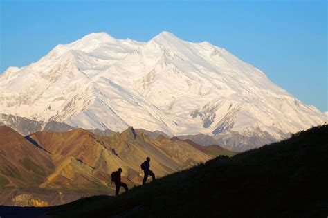 Visit Denali National Park | Anchorage Cruise Tours | Denali Bus Tour