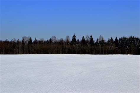 Estonian winter | Estonian national flag colours | vaido hindikainen | Flickr